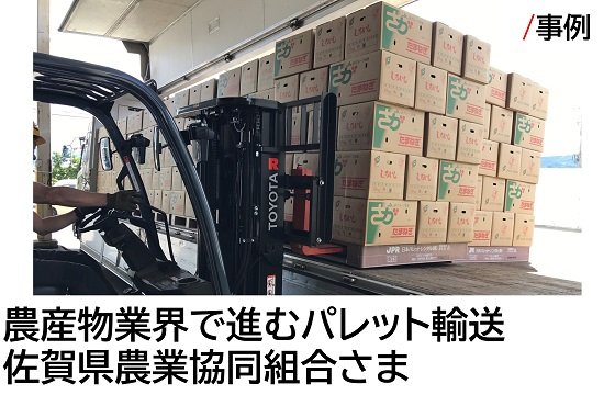 【事例】佐賀県農業協同組合さま「農産物業界で進むパレット輸送」